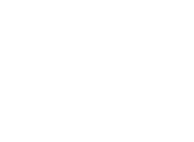 Palex